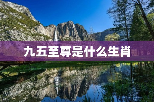 九五至尊是什么生肖