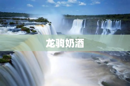 龙驹奶酒：传统酿造工艺与独特口感的完美结合