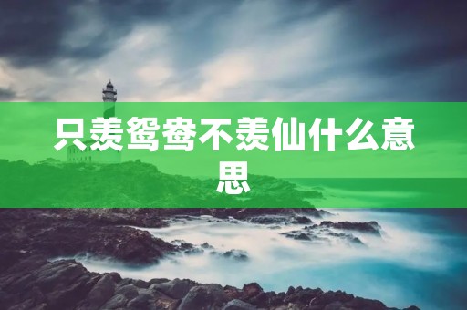 只羡鸳鸯不羡仙什么意思