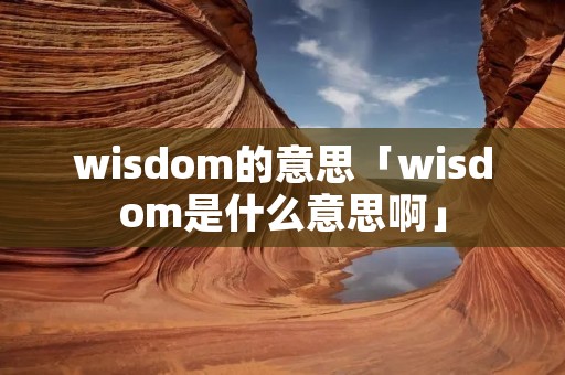 wisdom的意思「wisdom是什么意思啊」