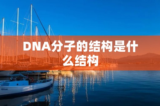 DNA分子的结构是什么结构 DNA分子的结构是什么结构