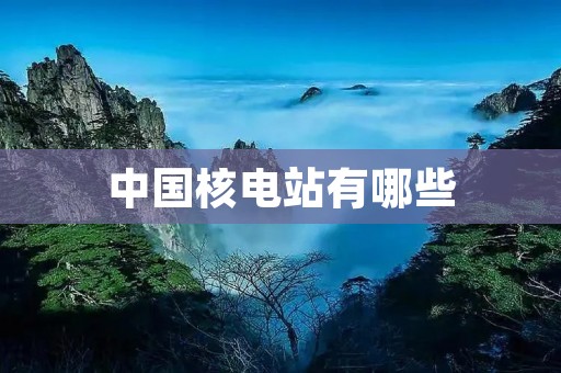 中国核电站有哪些 中国核电站有哪些