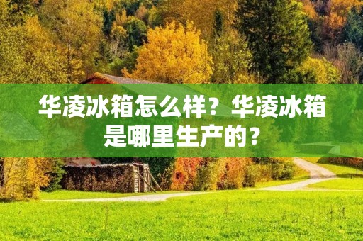 华凌冰箱怎么样?华凌冰箱是哪里生产的? 华凌冰箱怎么样?华凌冰箱是哪里生产的?