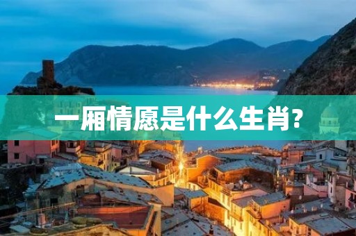 一厢情愿是什么生肖?