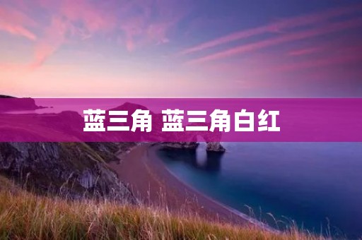 蓝三角 蓝三角白红