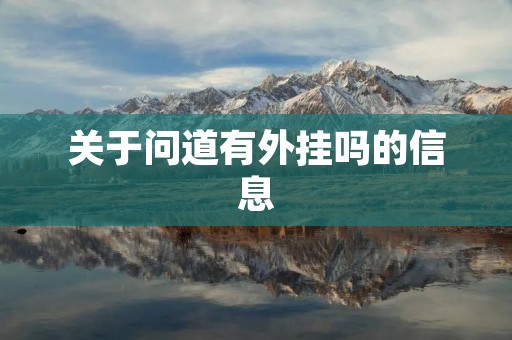 关于问道有外挂吗的信息