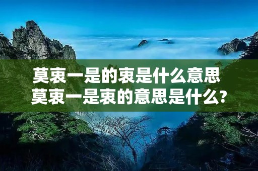 莫衷一是的衷是什么意思 莫衷一是衷的意思是什么?
