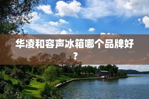 华凌和容声冰箱哪个品牌好？