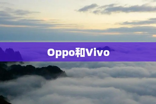 Oppo和Vivo:一家公司的两个子品牌