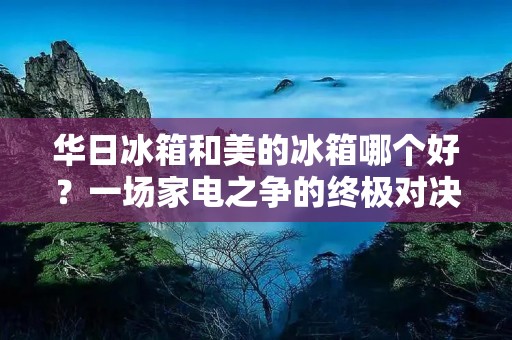 华日冰箱和美的冰箱哪个好？一场家电之争的终极对决