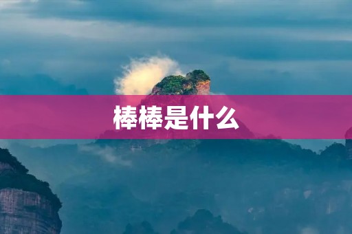 棒棒是什么