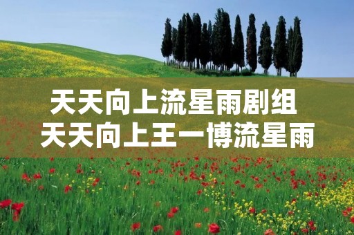 天天向上流星雨剧组 天天向上王一博流星雨