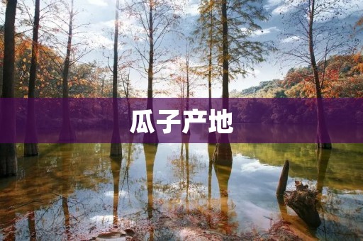 瓜子产地：品味源自大地的美味之旅