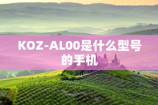 KOZ-AL00是什么型号的手机
