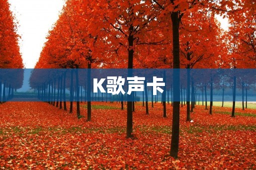 K歌声卡：打造专业级K歌体验的利器
