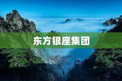 东方银座集团：打造中国商业领域的璀璨明珠