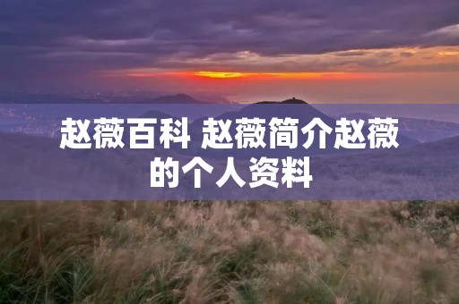赵薇百科 赵薇简介赵薇的个人资料