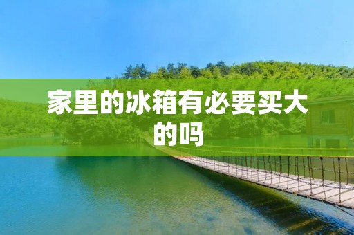 家里的冰箱有必要买大的吗 家里的冰箱有必要买大的吗