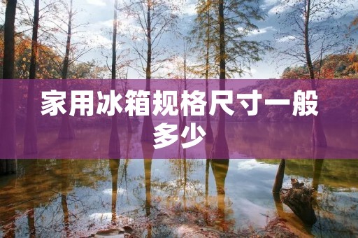 家用冰箱规格尺寸一般多少