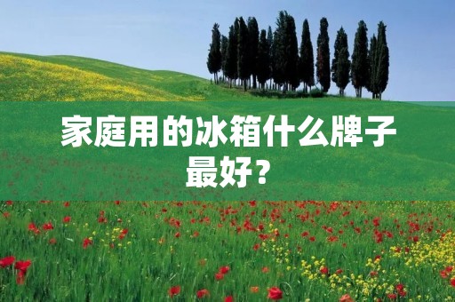 家庭用的冰箱什么牌子最好？