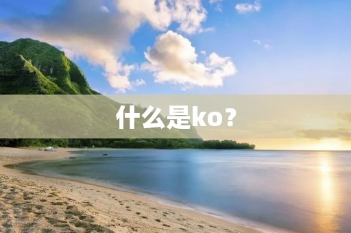 什么是ko？