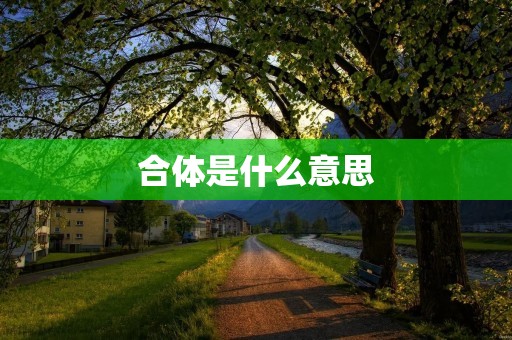 合体是什么意思