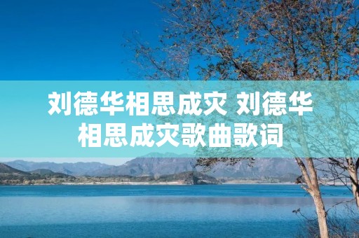 刘德华相思成灾 刘德华相思成灾歌曲歌词