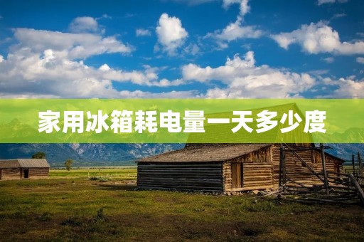家用冰箱耗电量一天多少度：了解冰箱能耗及节能方法