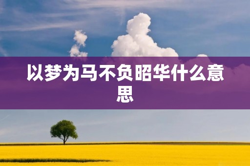以梦为马不负昭华什么意思