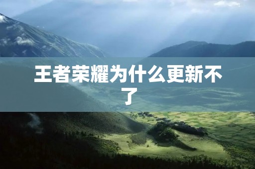 王者荣耀为什么更新不了