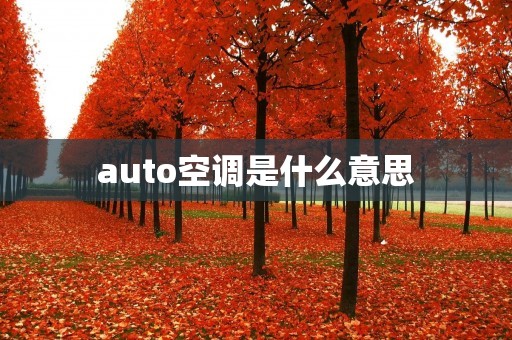 auto空调是什么意思