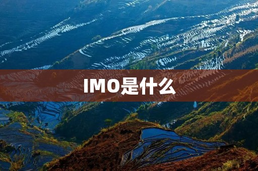 IMO是什么