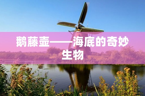 鹅藤壶——海底的奇妙生物