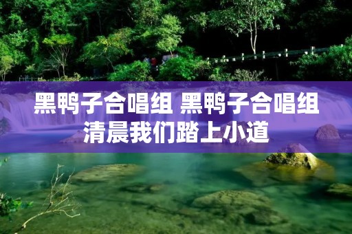 黑鸭子合唱组 黑鸭子合唱组清晨我们踏上小道