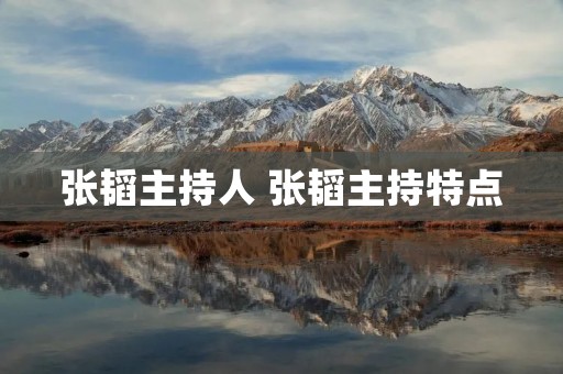 张韬主持人 张韬主持特点