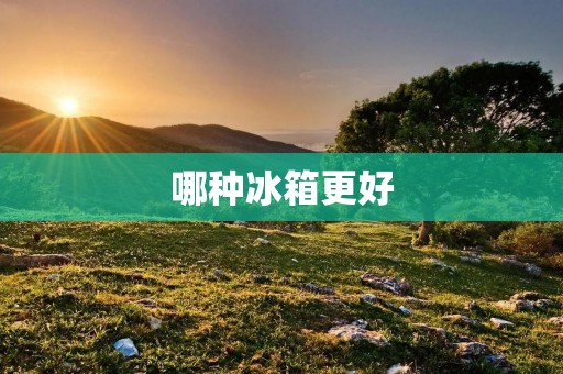 哪种冰箱更好:家用冰箱直冷好还是风冷好? 哪种冰箱更好:家用冰箱直冷好还是风冷好?