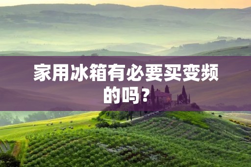 家用冰箱有必要买变频的吗? 家用冰箱有必要买变频的吗?