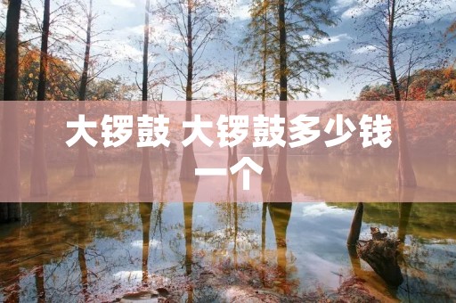 大锣鼓 大锣鼓多少钱一个 大锣鼓 大锣鼓多少钱一个