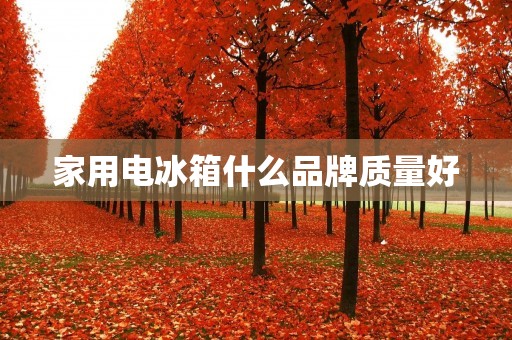 家用电冰箱什么品牌质量好:值得购买的五大品牌 家用电冰箱什么品牌质量好:值得购买的五大品牌