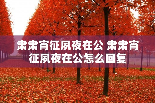 肃肃宵征夙夜在公 肃肃宵征夙夜在公怎么回复