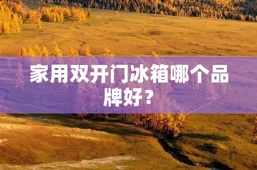 家用**门冰箱哪个品牌好? 家用**门冰箱哪个品牌好?