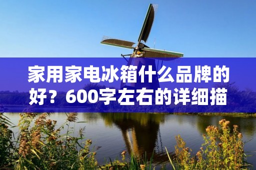 家用家电冰箱什么品牌的好?600字左右的详细描述 家用家电冰箱什么品牌的好?600字左右的详细描述