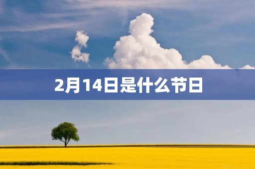 2月14日是什么节日