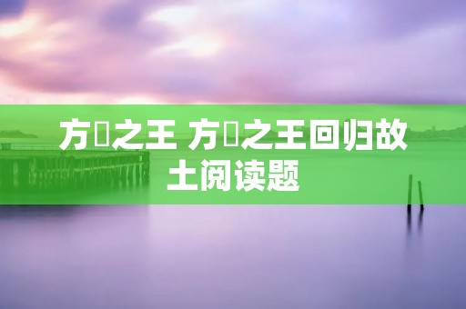 方罍之王 方罍之王回归故土阅读题