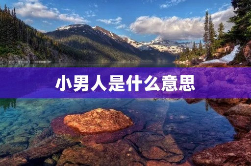 小男人是什么意思
