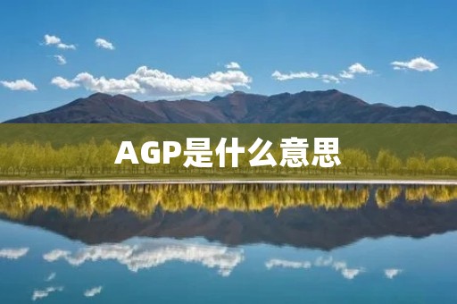 AGP是什么意思