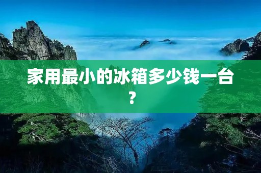 家用最小的冰箱多少钱一台？