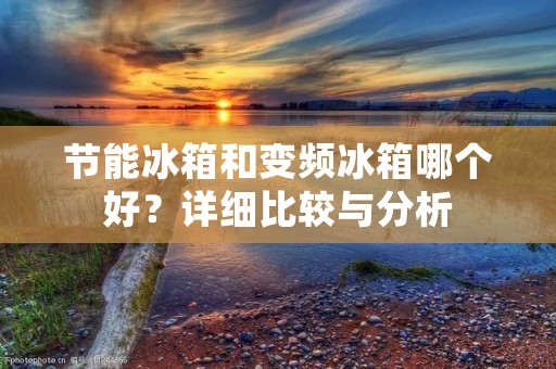 节能冰箱和变频冰箱哪个好？详细比较与分析