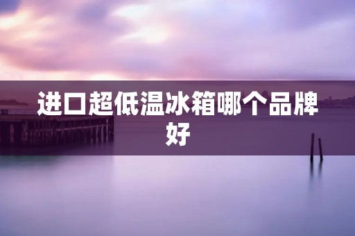 进口超低温冰箱哪个品牌好:详尽评估与推荐 进口超低温冰箱哪个品牌好:详尽评估与推荐