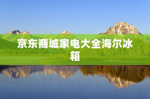 京东商城家电大全海尔冰箱：为您提供最全面的家电选择